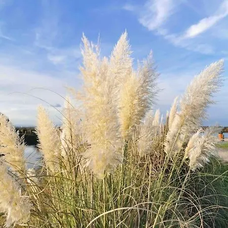 Apartment * * Piscine